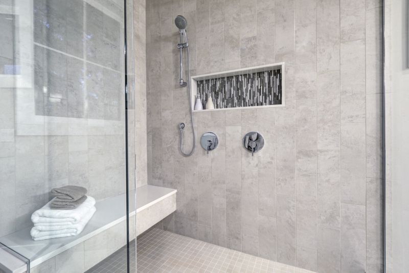 Sleek Shower Renovation